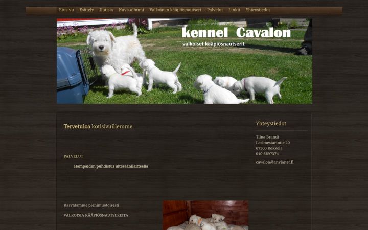 Screenshot of cavalon.fi
