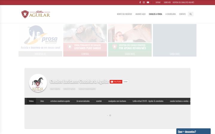 Screenshot του cavaloslusitanos.com.br