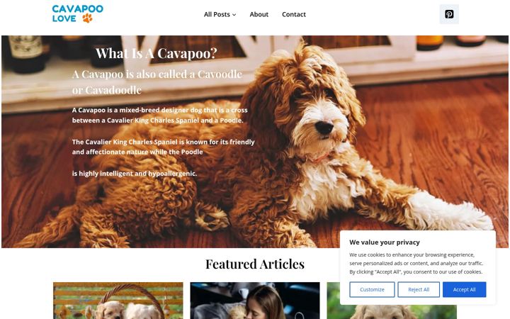 Screenshot of cavapoolove.com
