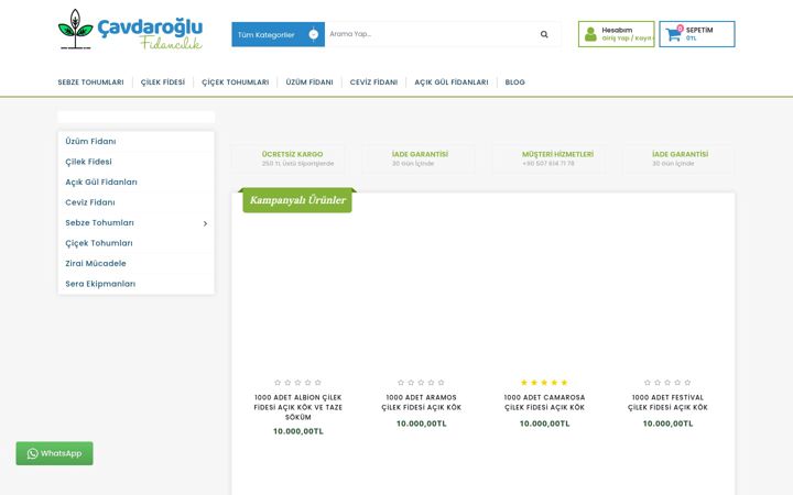 Screenshot of cavdaroglufidancilik.com.tr