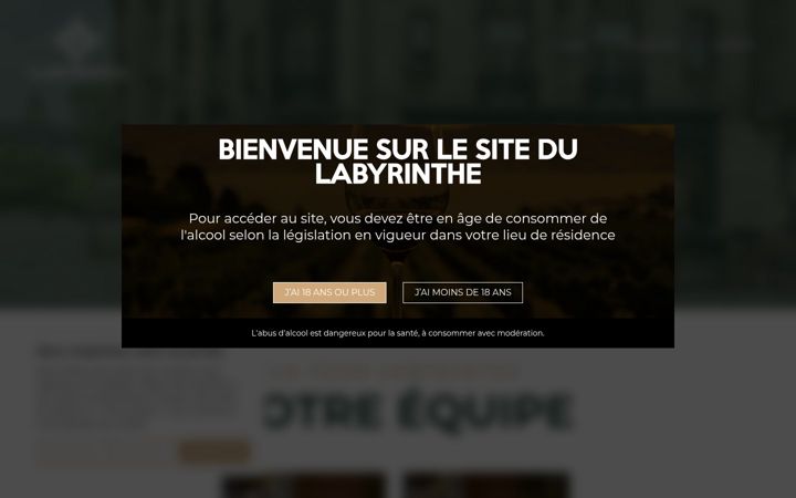 Screenshot του cave-labyrinthe.fr
