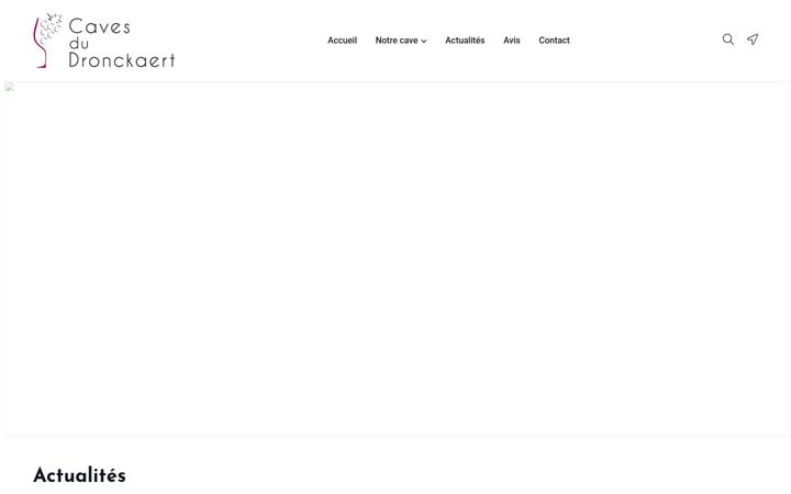 Screenshot του cavesdudronckaert.fr