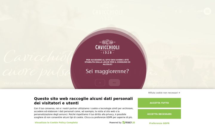 Screenshot of cavicchioli.it