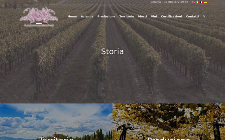 Zrzut ekranu cavinitaly.com