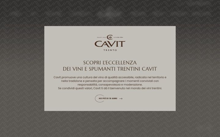 Screenshot of cavit.it