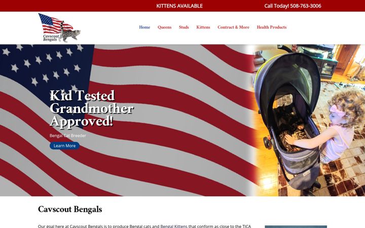 Screenshot of cavscoutbengals.com