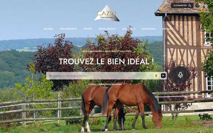 Screenshot of cazin-immobilier.com