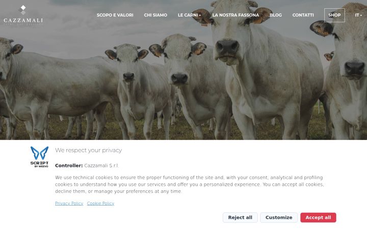 Screenshot of cazzamali.com