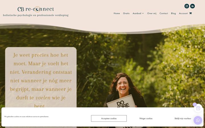 Snímek obrazovky cb-re-connect.nl