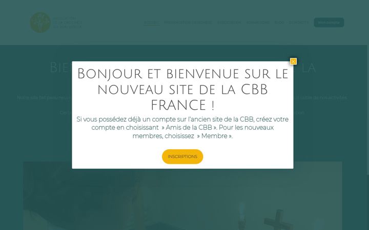 Screenshot of cbbfrance.org
