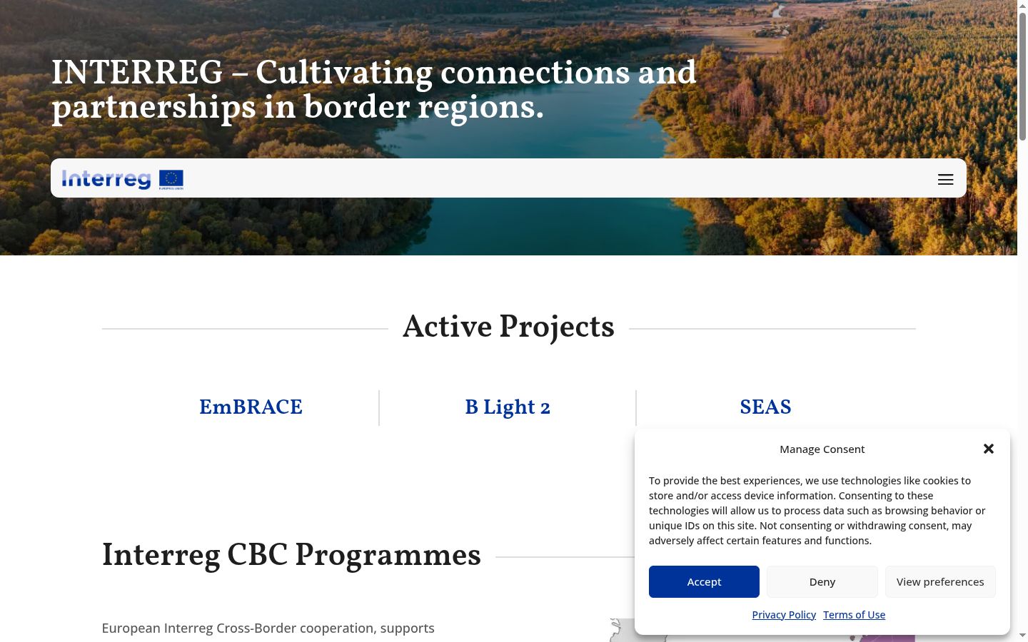 Skjámynd af samþykkisborðanum eins og hann birtist áður en nokkur samskipti fóru fram