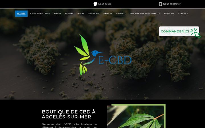 Screenshot of cbd-argeles.fr