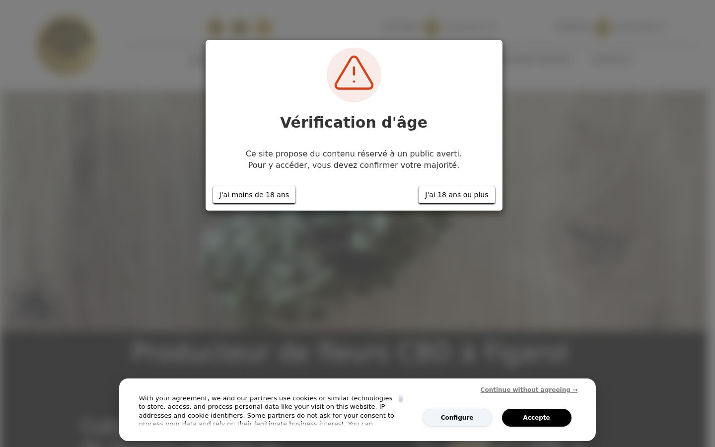 Screenshot des Einwilligungsbanners vor jeglicher Interaktion