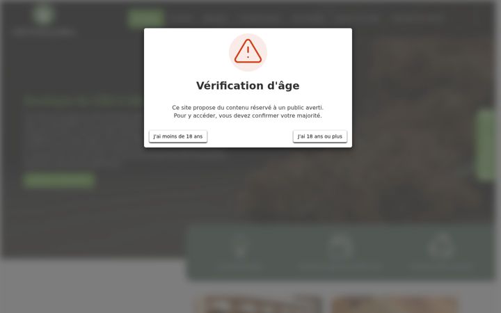 Screenshot of cbd-montpellier34.fr