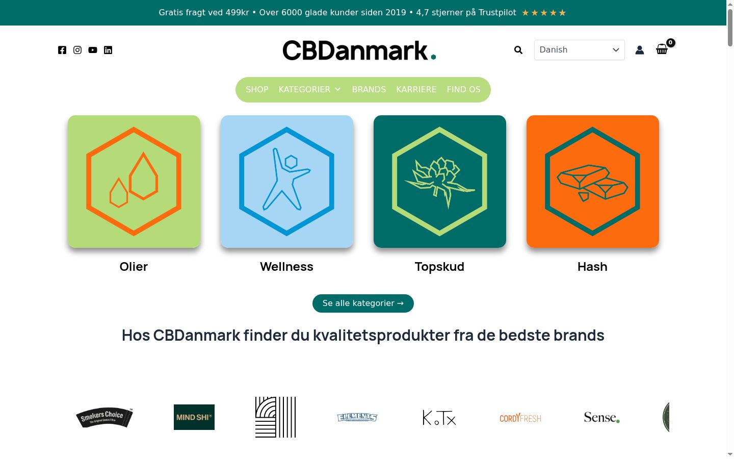 Skærmbillede af samtykkebanneret, som det blev vist før nogen interaktion