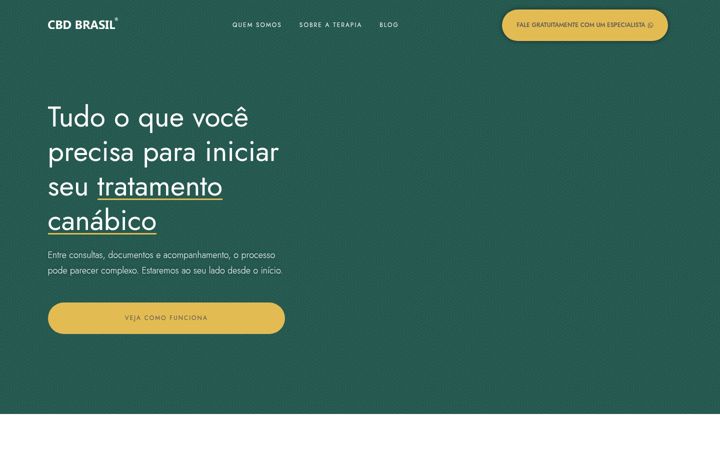 Snímek obrazovky cbdbrasil.net