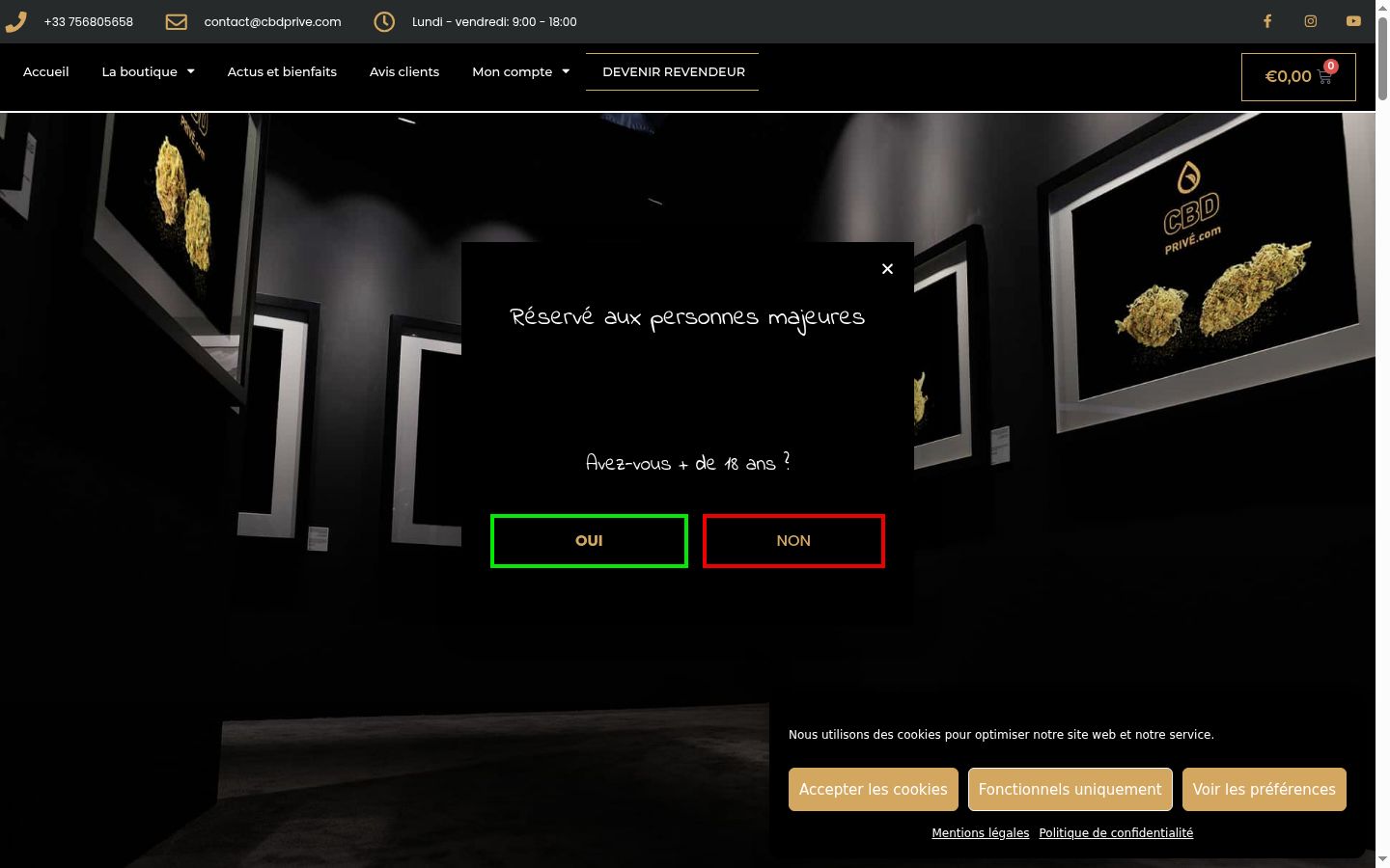 Screenshot of the consent banner shown before any interaction