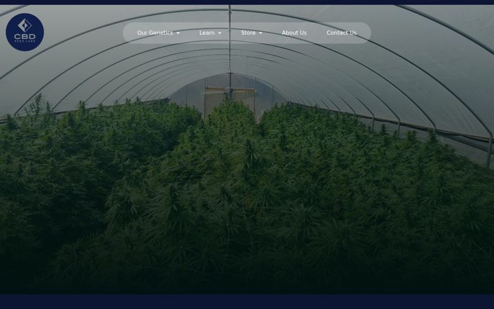 Screenshot of cbdseedlabs.com