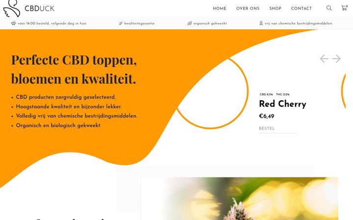 Screenshot of cbduck.nl