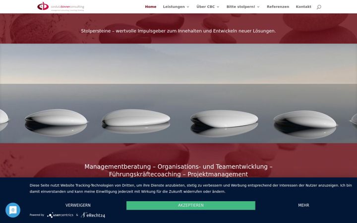 Screenshot of cbinner-consulting.de