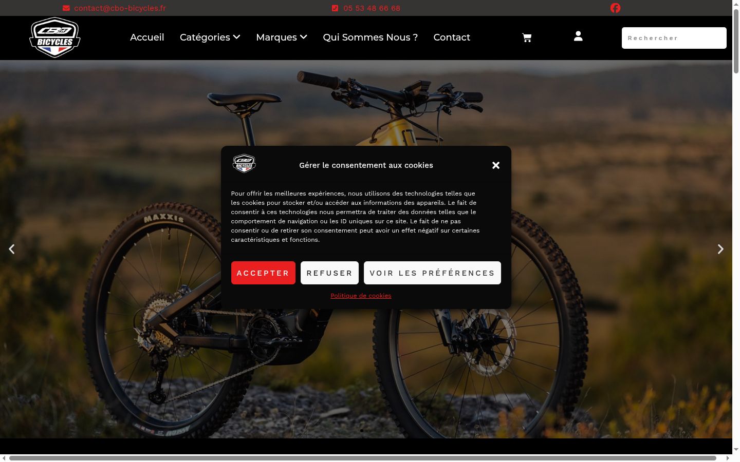 Screenshot of the consent banner shown before any interaction