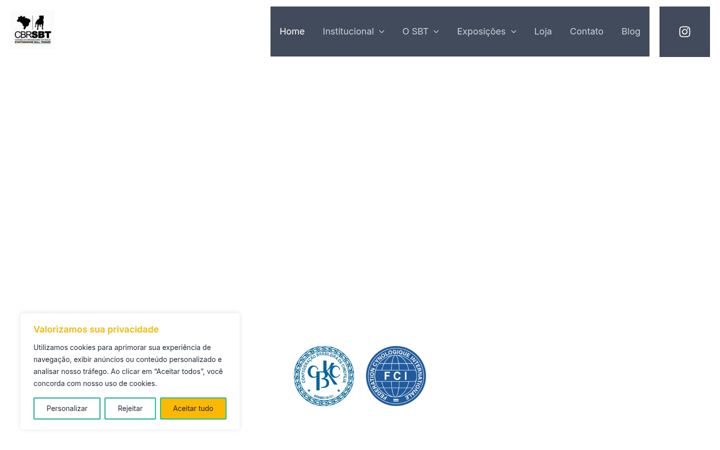 Screenshot of cbrsbt.com.br