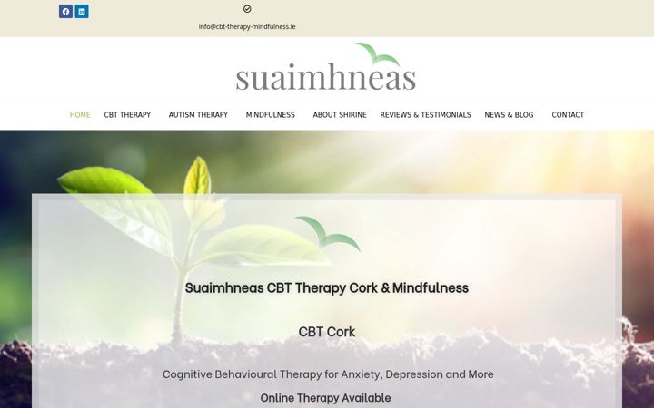 Capture d'écran de cbt-therapy-mindfulness.ie