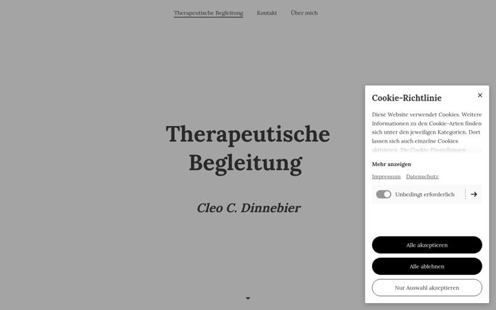 Screenshot of cc-dinnebier.de