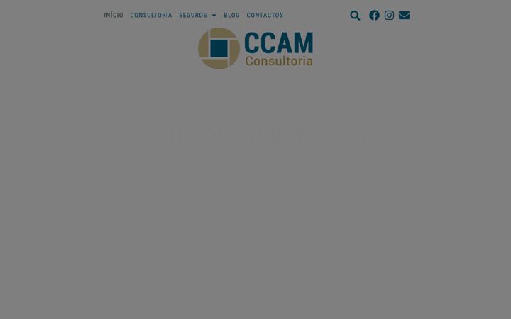 Screenshot von ccamconsultoria.pt