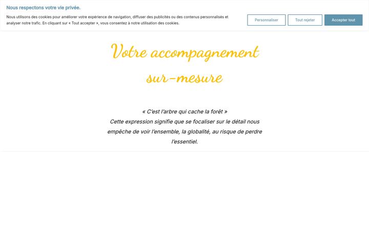 Screenshot of ccarre-conseil.com