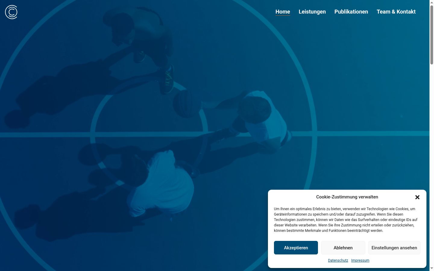 Screenshot des Einwilligungsbanners vor jeglicher Interaktion