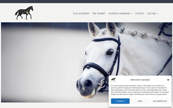 Screenshot of cchacademy.online