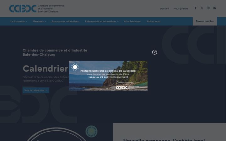 Screenshot of ccibdc.ca