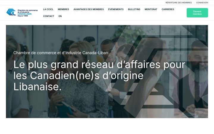 Screenshot of ccicl.com