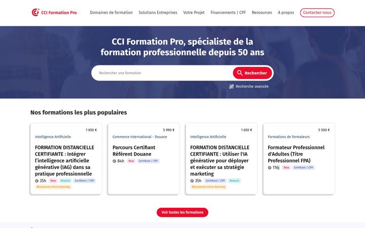 Skærmbillede af cciformationpro.fr