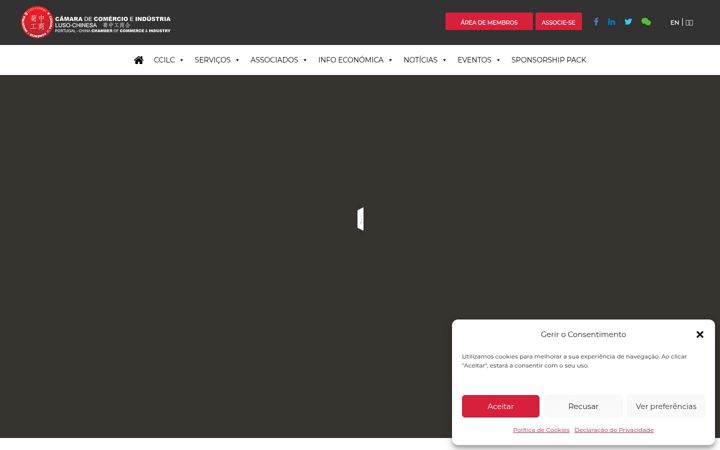 Screenshot του ccilc.pt