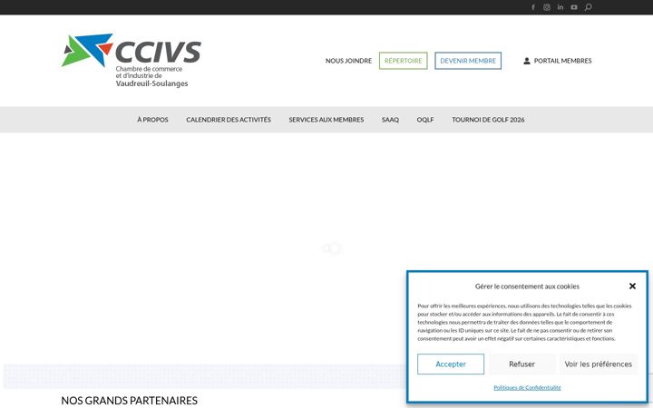 Capture d'écran de ccivs.ca