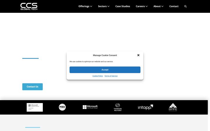 Screenshot of ccsincus.com