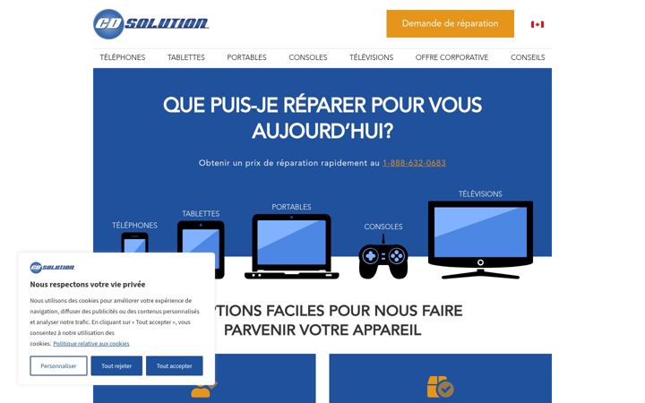 Screenshot of cdsolution.ca