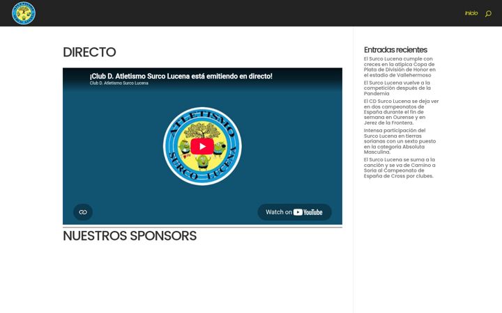 Screenshot of cdsurcolucena.com