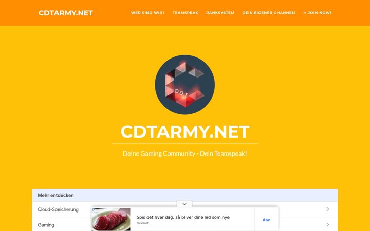Screenshot of cdtarmy.net