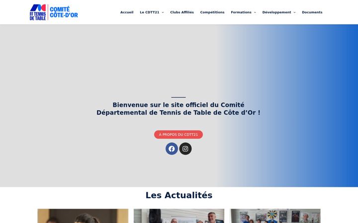 Zrzut ekranu cdtt21.fr