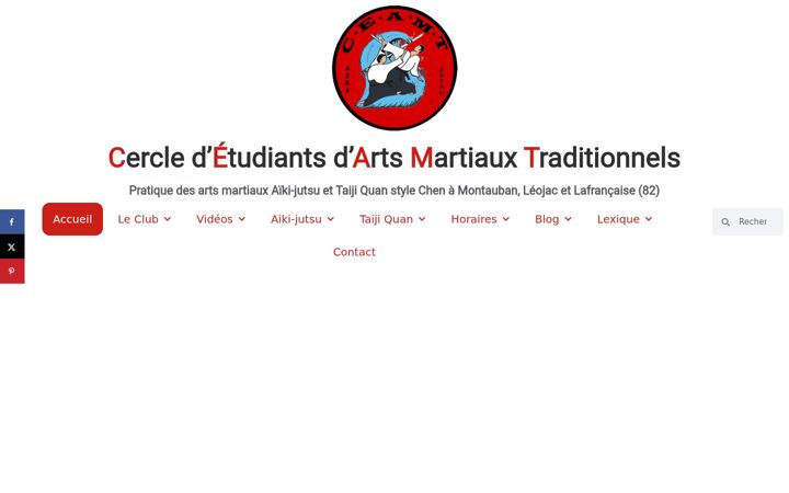 Screenshot of ceamt82.fr