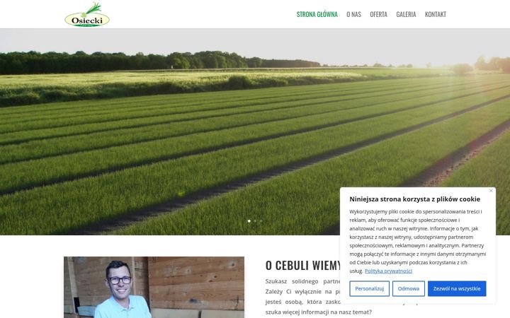 Screenshot of cebuladymka.com.pl