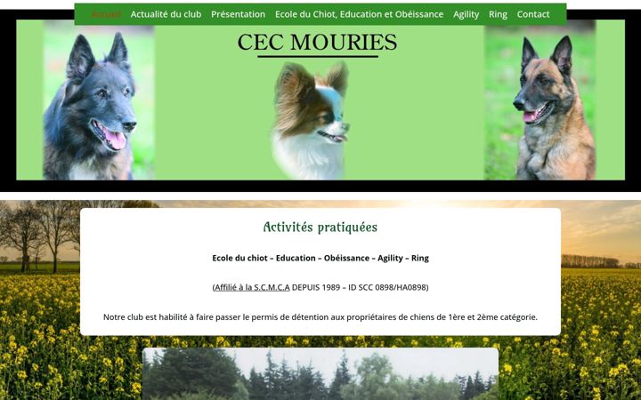 Screenshot von cec-mouries.fr