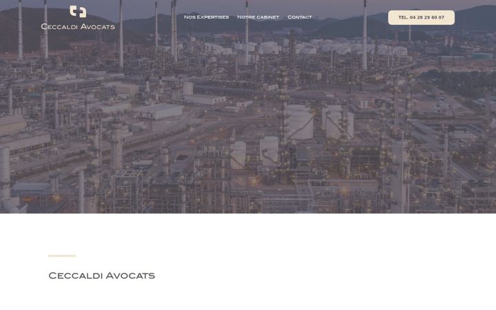 Screenshot of ceccaldi-avocats.fr