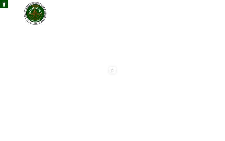 Screenshot of cechostrowiec.eu