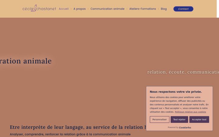 Screenshot of cecile-chastanet.com