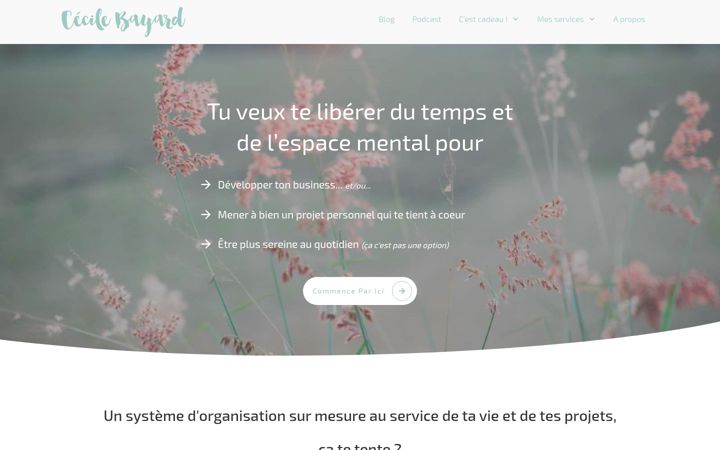 Screenshot of cecilebayard.com