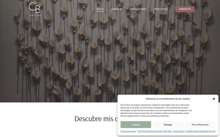Screenshot of cecilebrillet.es